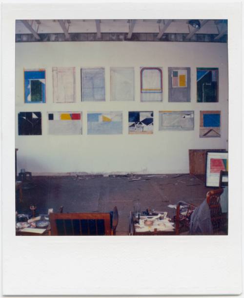 Artist's Polaroid