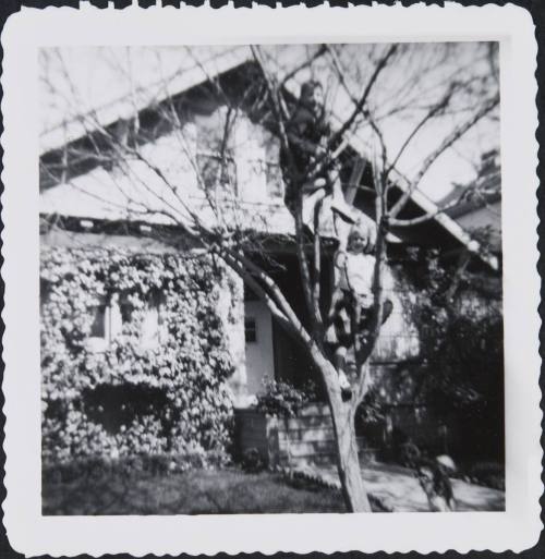 Diebenkorn family at 2947 Magnolia Street house, Berkeley, CA, c. 1954-55