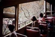Travel Photographs from Japan